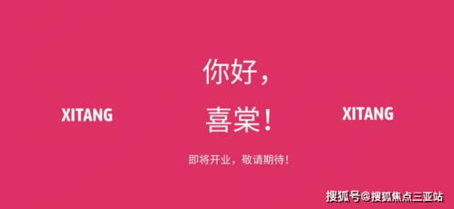 三亞房地產(chǎn)項(xiàng)目詳情咨詢?nèi)馕?從區(qū)位到投資的全方位指南